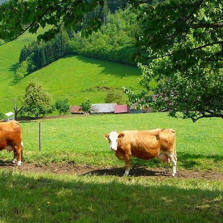 Ziegelhof Apartman Schuttertal Kültér fotó
