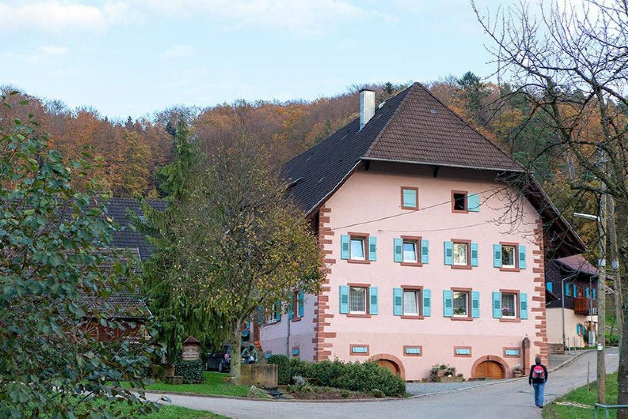 Ziegelhof Apartman Schuttertal Kültér fotó